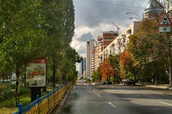 Бульвар Лесі Українки відремонтують за 14 млн грн