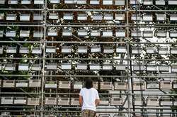 В Литве построили гигантскую инсталляцию из 2145 старых радиоприемников (фото)