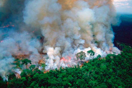 До гасіння лісових пожеж в Амазонії залучають армію