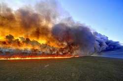 ЄС погрожує Бразилії відкласти угоду про вільну торгівлю через пожежі тропічних лісів