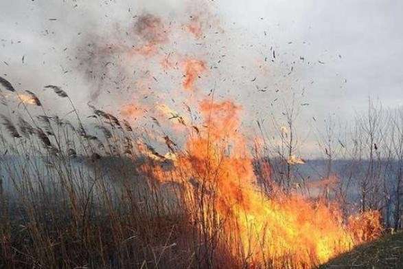У Полтавські області горіли 49 га трави і очерету