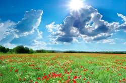 Прогноз погоди: 25 серпня у неділю буде сонячно та спекотно