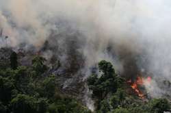 Пожежа в амазонському лісі