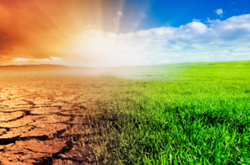 Синоптик розповіла, коли в Україні спаде спека