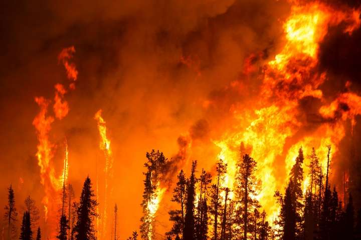 В Турции вспыхнули несколько лесных пожаров