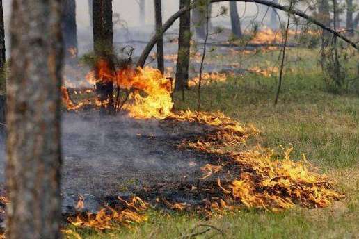 До кінця тижня на Київщині утримається надзвичайна пожежна небезпека