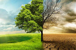 Семерак: Україна серед лідерів країн, які борються зі зміною клімату