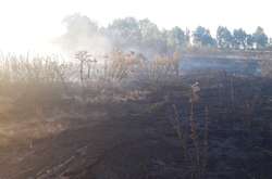 У п’яти районах Київщини горять торф’яники (фото)