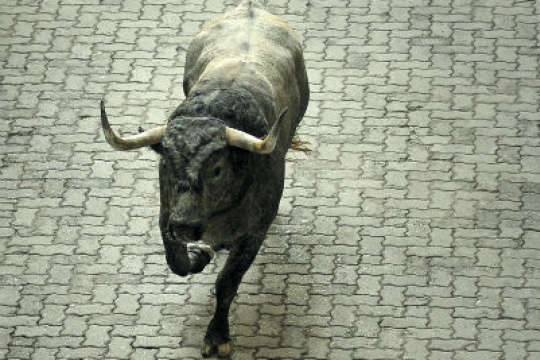 В Іспанії під час традиційного забігу биків загинув чоловік
