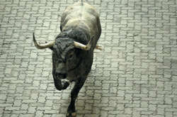 В Іспанії під час традиційного забігу биків загинув чоловік