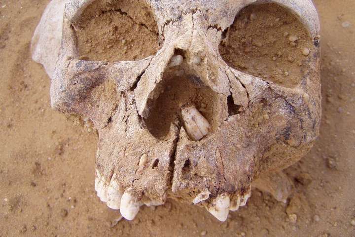 Вчені знайшли древні поховання єгиптян, яким щонайменше 6 тисяч років