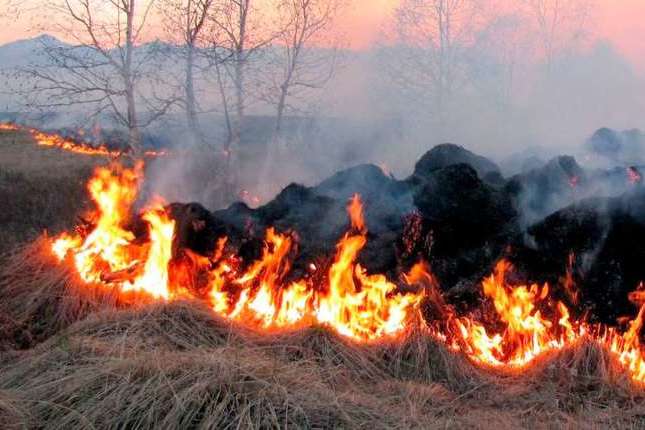 В Україні оголошено надзвичайну пожежну небезпеку