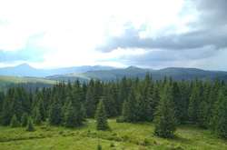 Рятувальники Прикарпаття допомогли туристці, яка травмувалася в горах