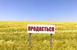 Зеленський доручив депутатам скасувати земельний мораторій до 1 грудня