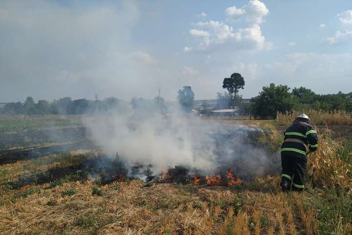 За добу на Київщині сталося понад 30 пожеж в екосистемах (фото)