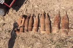 Було виявлено одну мінометну міну та 7 артилерійських снарядів Другої світової війни