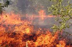 У Києві ще три дні утримається надзвичайний рівень пожежної небезпеки