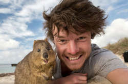 Ученые доказали, что селфи с дикими животными наносят им вред