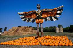 У Німеччині пройшов фестиваль гарбузів. Фотогалерея