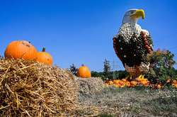 В Германии прошел фестиваль тыкв Krewelshof Eifel (фото)