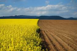 В Херсонской области проведут аудит земель