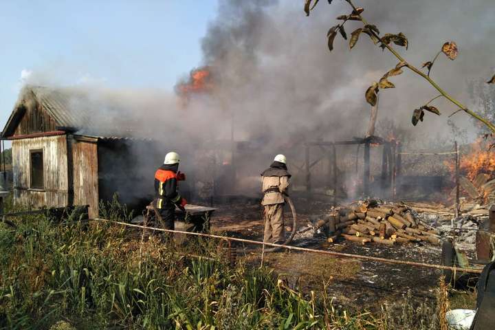 На Київщині через випалювання сухої трави загинули двоє пенсіонерів