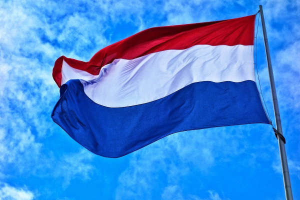 Нидерланды отреагировали на освобождение боевика «ДНР» Цемаха