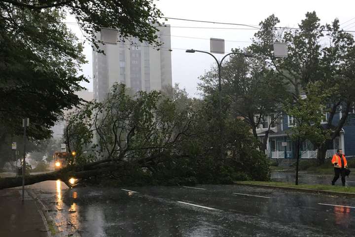 Повалені дерева, відсутність світла: ураган «Доріан» наробив лиха в Канаді (фото, відео)