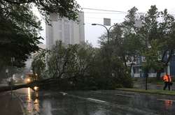 Через ураган у Канаді сотні повалених дерев