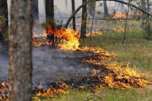 В Україні ще декілька днів утримається надзвичайна пожежна небезпека