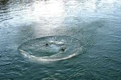 Водолази дістали тіло і передали працівникам медичної допомоги