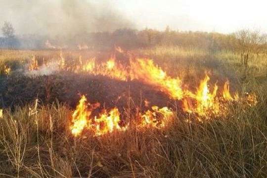 В Україні оголошений надзвичайний рівень пожежної небезпеки – ДСНС