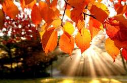 Сьогодні в Україні буде по-літньому тепло: прогноз погоди на 10 вересня