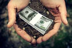 Более 50% украинцев поддерживают право на продажу земли - соцопрос