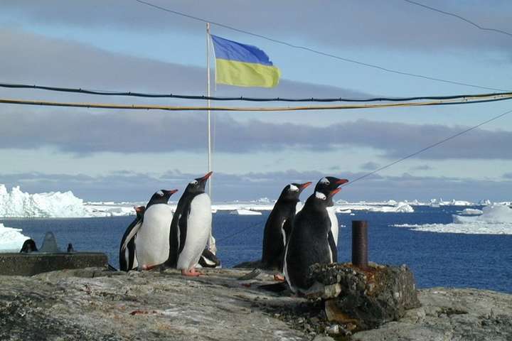 Українці в Антарктиді вперше підтримають марш за захист тварин