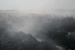  Горіло сміттєзвалище поблизу с. Трипілля 