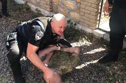 Фігурант кримінального провадження під час затримання напав на поліцейських