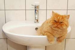 Три района Львова из-за аварии остались без воды