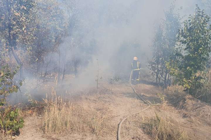 На Київщині не вщухають пожежі в екосистемах (фото)
