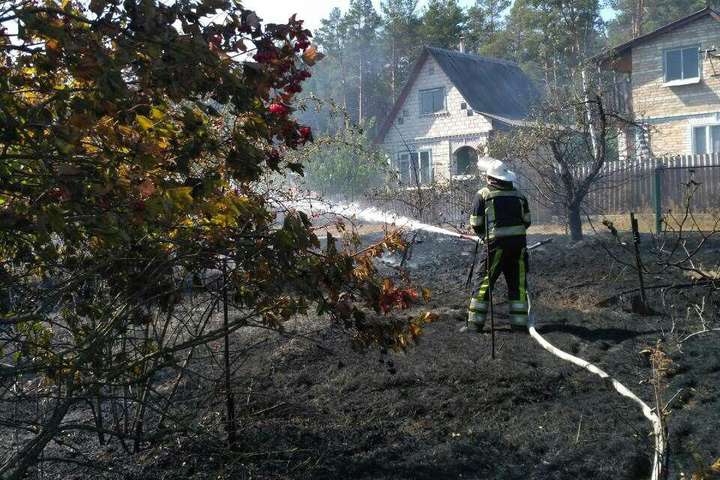 На Київщині після займання трави вогонь знищив три будинки