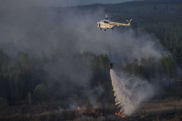 На Київщині поблизу зони відчуження горить ліс
