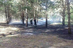 На Миколаївщині підпалили Балабанівське лісове урочище
