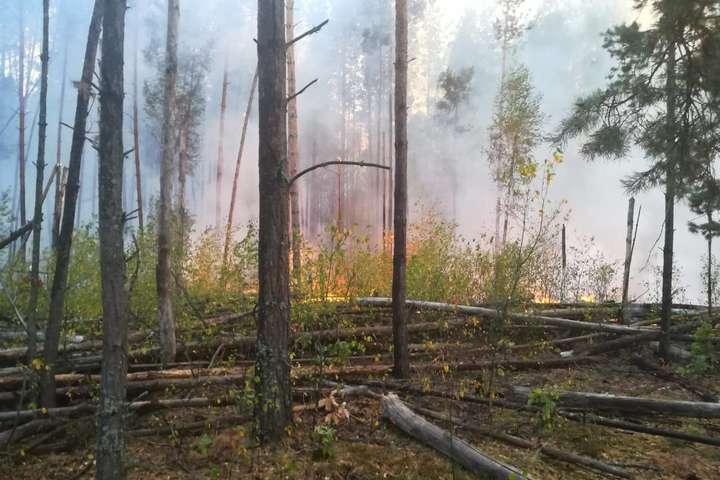 Лісова пожежа під Чорнобилем охопила 11 га