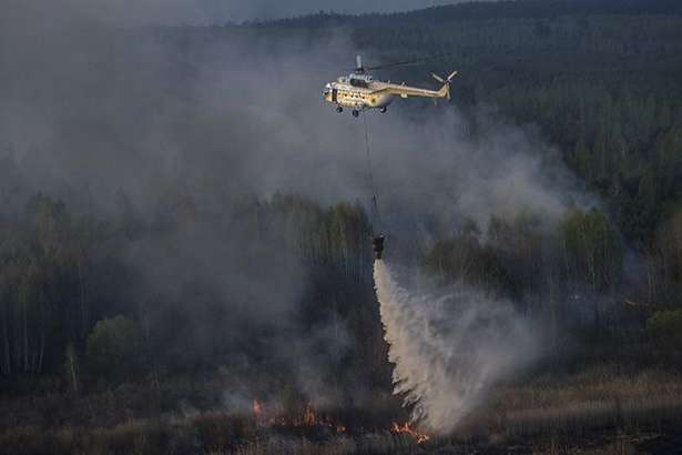 В Чернобыльской зоне второй день горит лес