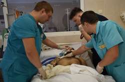 Медики Дніпра борються за життя важкопораненого бійця