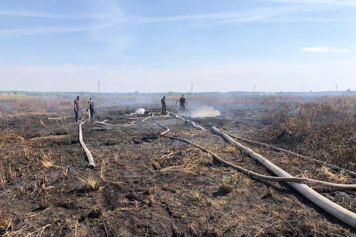Горять ліси, торф’яники, трава: за місяць на Київщині сталося понад 800 пожеж