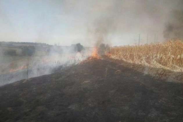 На Полтавщині палає 300 га кукурудзяного поля