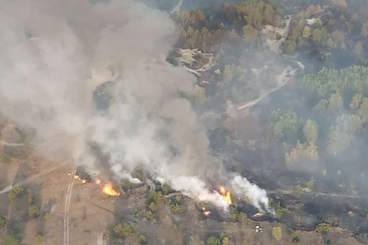 На Чернігівщині на території військового полігону загорівся ліс