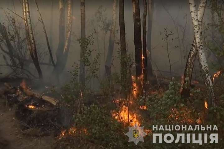 Жінка підпалила траву заради помсти і спровокувала масштабну пожежу в Чорнобильській зоні