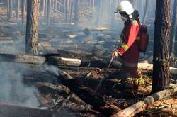 Пожежу в Чорнобильській зоні локалізовано (фото, відео)